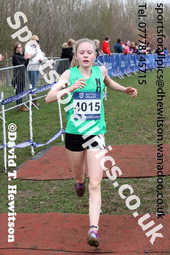 Girls under-15s Inter Counties Cross Country, Prestwold Hall, Loughborough. Photo: David T. Hewitson/Sports for All Pics